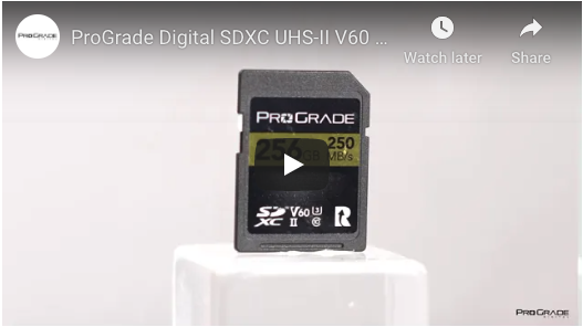 ProGrade Digital Carte Mémoire SDXC UHS-II V90 300R (256Go) en