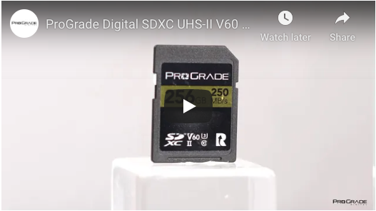 Purchase SDXC UHS-II, V60, 250R Memory Cards | ProGrade Digital