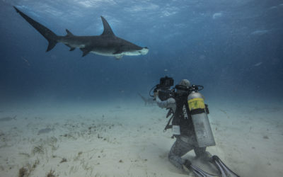 Face to Face With Sharks, Snakes, and Jaguars: Conversation With Filipe DeAndrade, a 20 Time NY Emmy Award-Winning Filmmaker