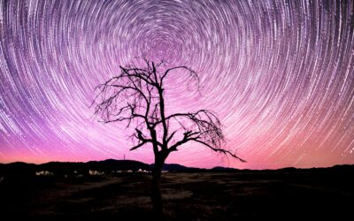 How to Master Star Trails Photography