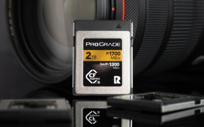 SSD vs Memory Cards: Which is the better option for professional photographers and videographers?