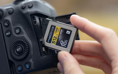 The Pros and Cons of High-Endurance Memory Cards for Continuous Shooting