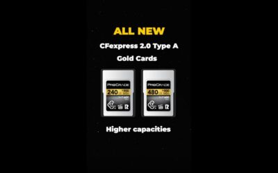 CFexpress 2.0 Type A Gold Memory Cards | ProGrade Digital