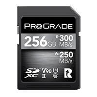 SDXC V90 256GB