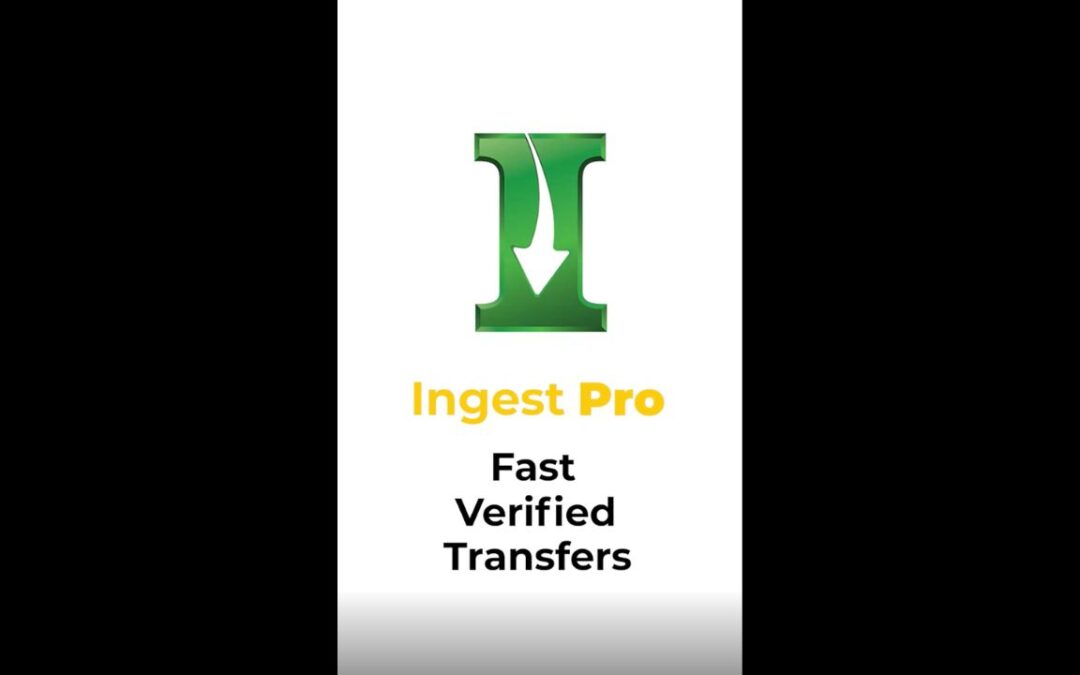 Elevate Your Content Management with Ingest Pro | ProGrade Digital