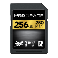 SDXC V60 256GB