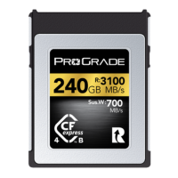 CFexpress 4.0 Type B Gold 240GB