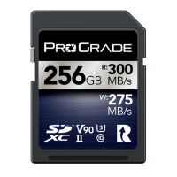 SDXC UHS-II V90 300R Iridium Memory Card