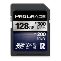 SDXC V90 Iridium 128GB