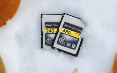 Memory Card Durability: How ProGrade Digital Cards Keep Your Data Safe in Demanding Shooting Environments