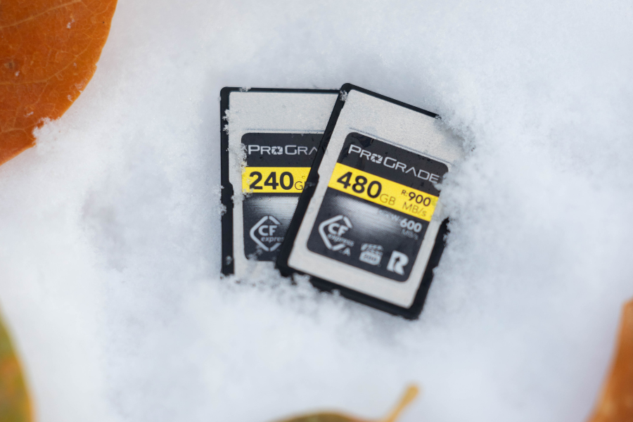 Memory Card Durability: How ProGrade Digital Cards Keep Your Data Safe in Demanding Shooting Environments