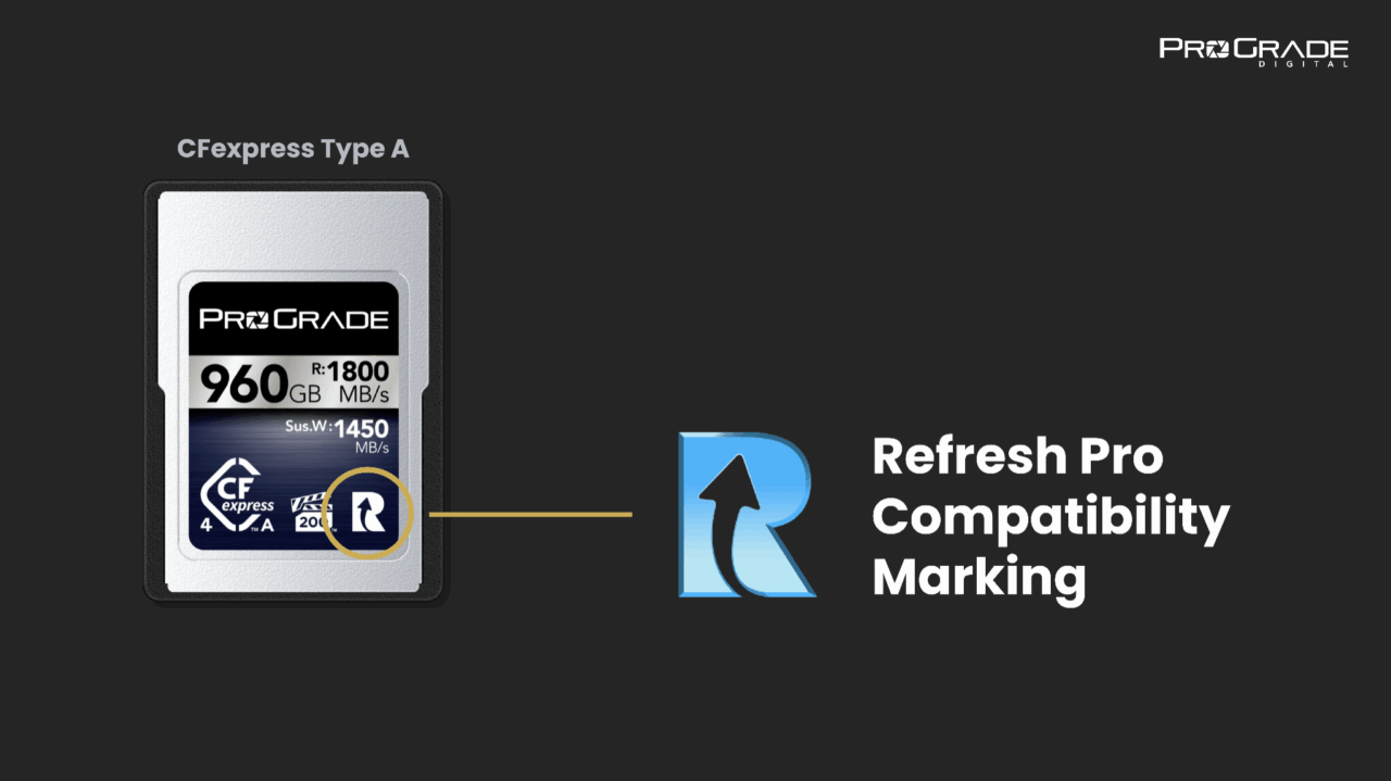 Memory Card Firmware Updates 101 | ProGrade Digital